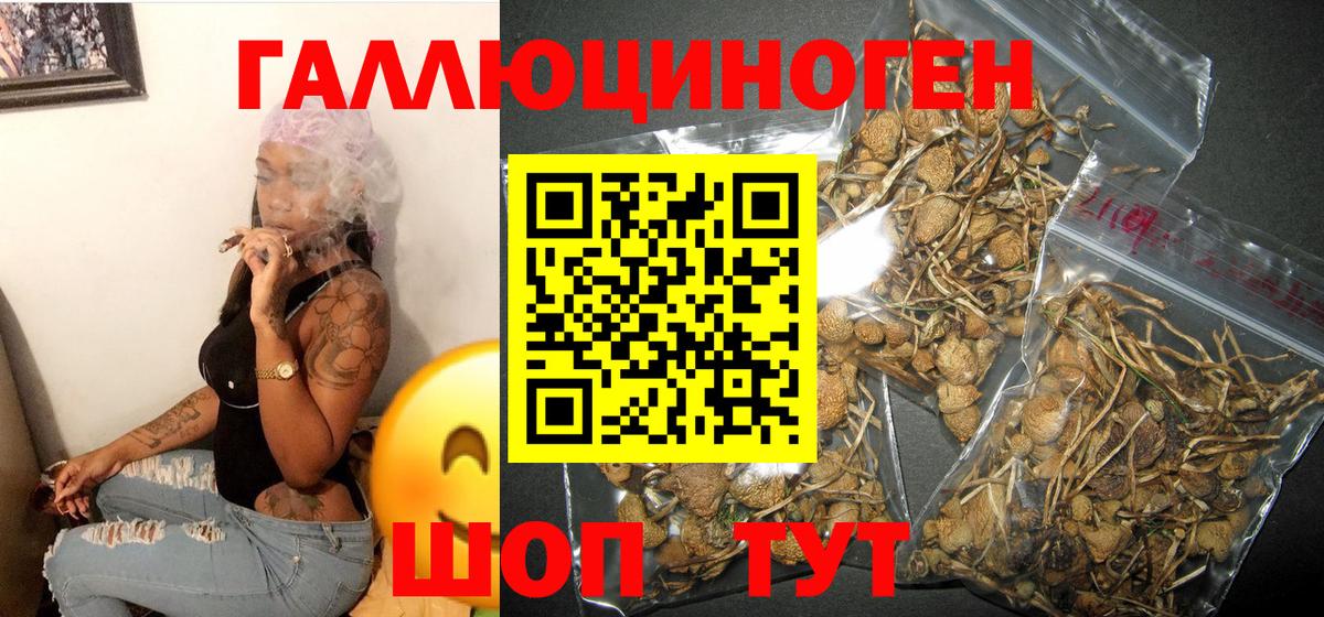 Псилоцибиновые грибы GOLDEN TEACHER  Псилоцибиновые грибы MAGIC MUSHROOMS  Кемерово  Вход с VPN 