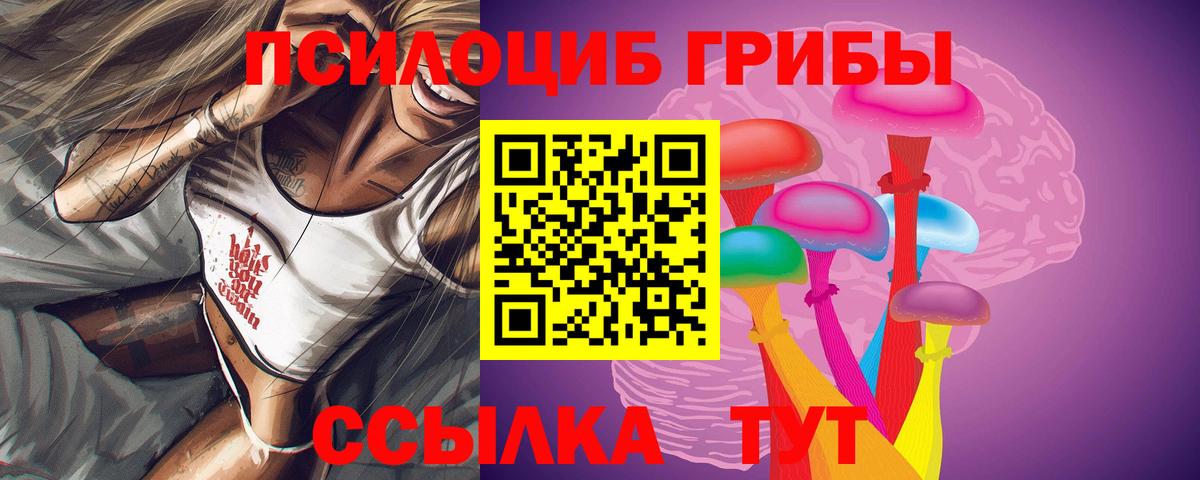Псилоцибиновые грибы Psilocybe Кемерово