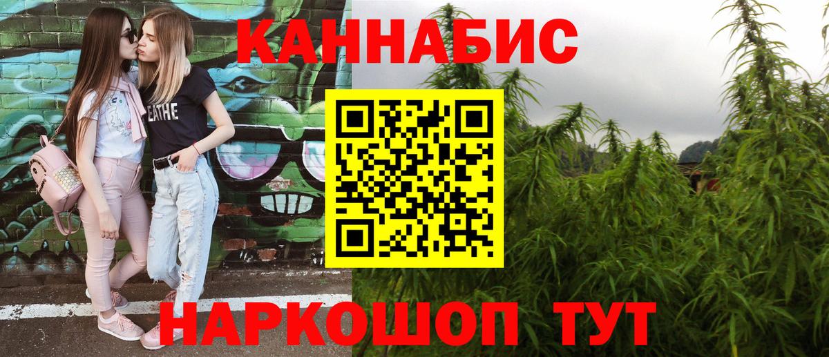 Кемерово  Бошки марихуана семена  Бошки Шишки сатива  Вход с VPN  Конопля планчик  Шишки марихуана конопля 
